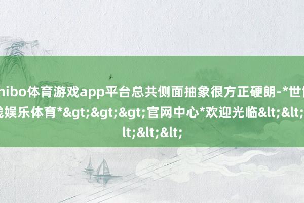 shibo体育游戏app平台总共侧面抽象很方正硬朗-*世博在线娱乐体育*>>>官网中心*欢迎光临<<<