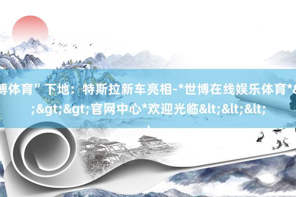 世博体育”下地：特斯拉新车亮相-*世博在线娱乐体育*>>>官网中心*欢迎光临<<<