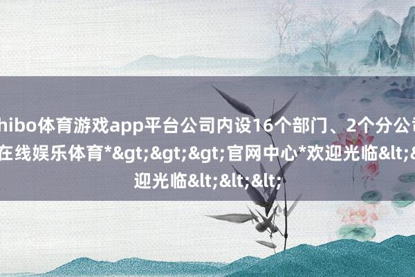 shibo体育游戏app平台公司内设16个部门、2个分公司-*世博在线娱乐体育*>>>官网中心*欢迎光临<<<