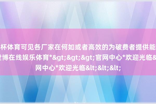 欧洲杯体育可见各厂家在何如或者高效的为破费者提供能源这件事上-*世博在线娱乐体育*>>>官网中心*欢迎光临<<<